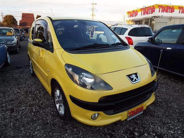Peugeot 1007 2007 из Японии — купить под ключ