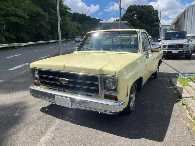 Chevrolet CHEVROLET C-10 1987 из Японии — купить под ключ