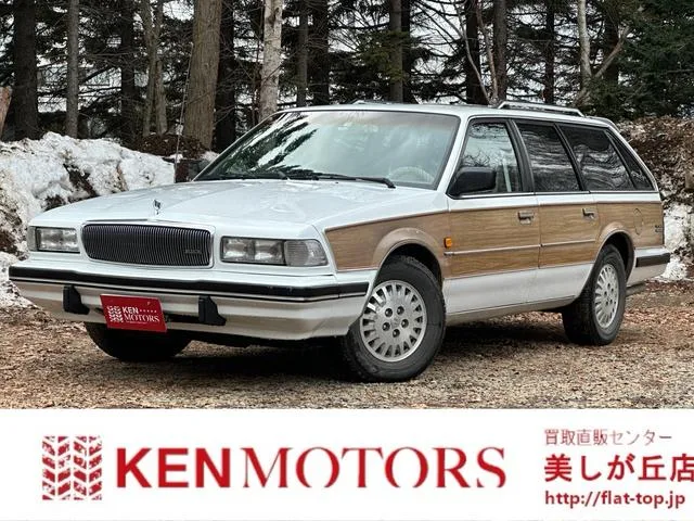 Buick BUICK REGAL 1995 из Японии — купить под ключ