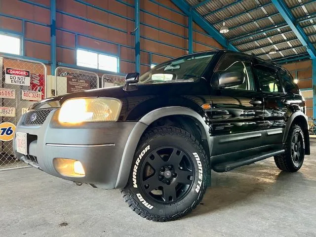 Ford ESCAPE 2004 из Японии — купить под ключ
