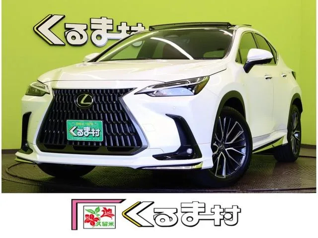Lexus GS300 2024 из Японии — купить под ключ