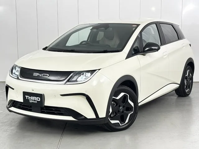 BYD DOLPHIN 2025 из Японии — купить под ключ