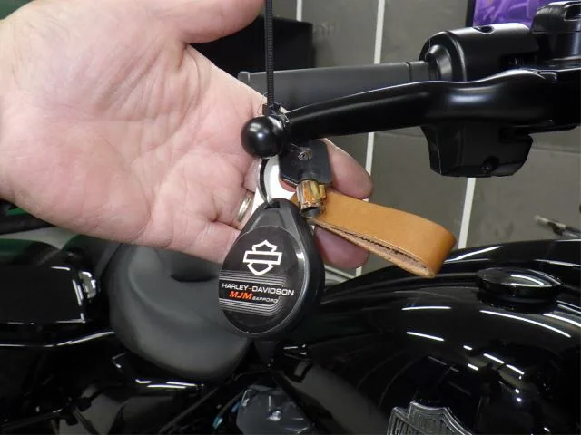 Harley-Davidson FLHXS1870 с аукциона BDS, кадр 10