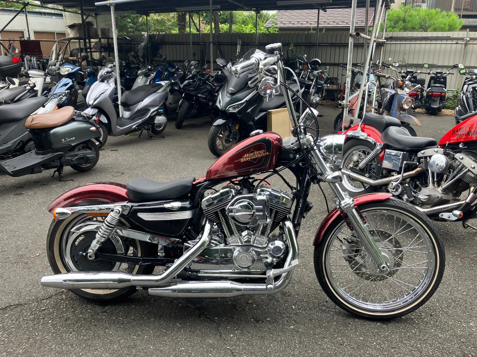 Harley-Davidson XL1200V 2015 года из Японии