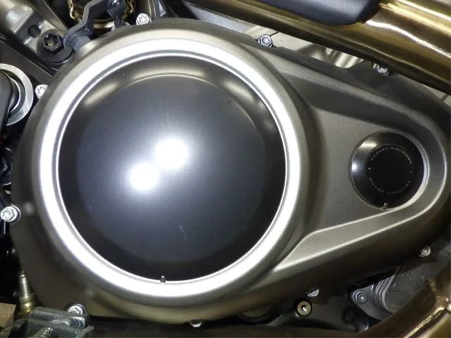 Harley-Davidson PAN AMERICA 1250S с аукциона BDS, кадр 4