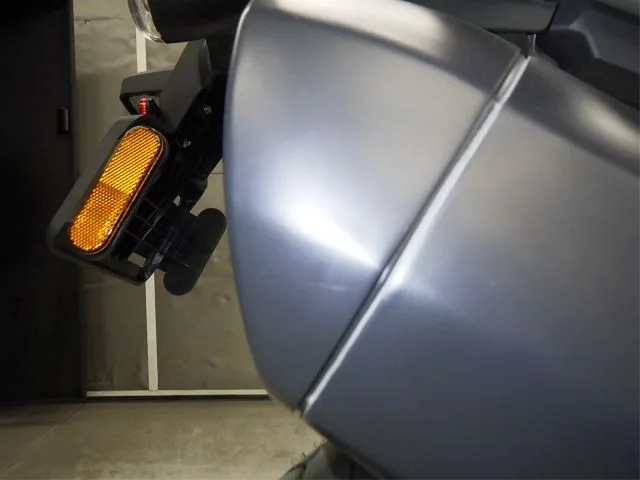 Harley-Davidson PAN AMERICA 1250S с аукциона BDS, кадр 9