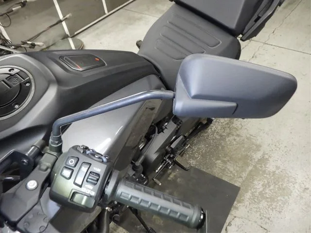 Harley-Davidson PAN AMERICA 1250S с аукциона BDS, кадр 10
