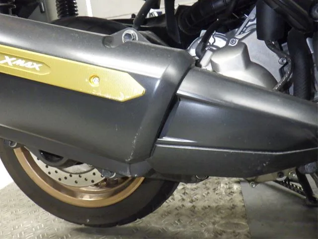 Yamaha X-MAX250 с аукциона BDS, кадр 10