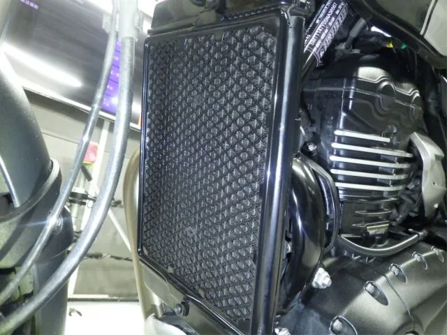 Triumph SCRAMBLER 400X с аукциона BDS, кадр 4