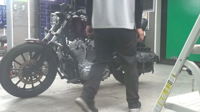 Harley-Davidson XL883 с аукциона BDS, кадр 2