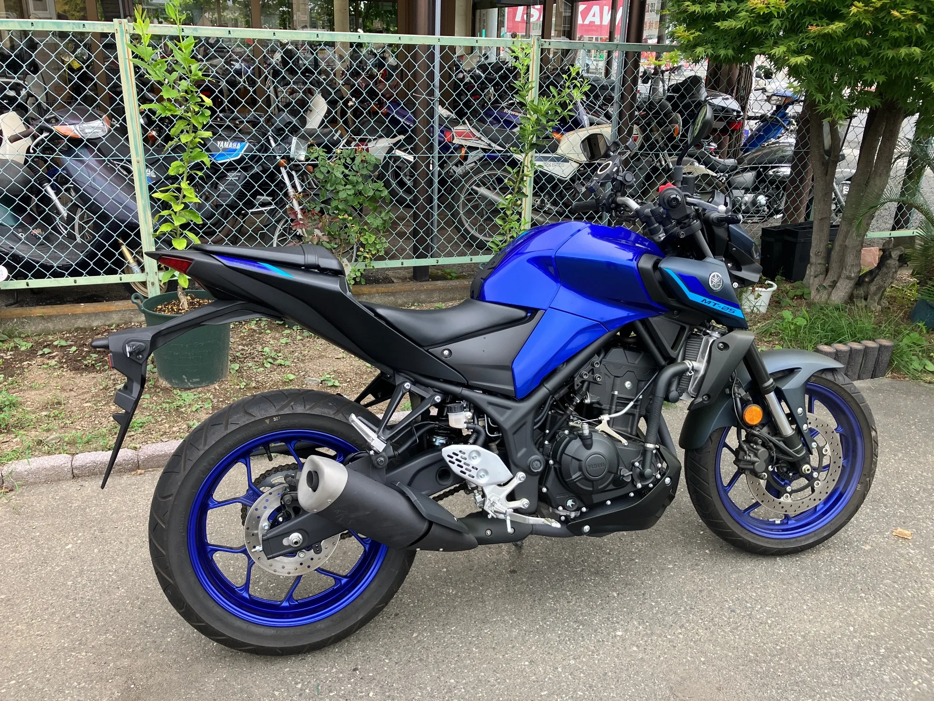 Yamaha MT-25 с аукциона AUCNET, кадр 2