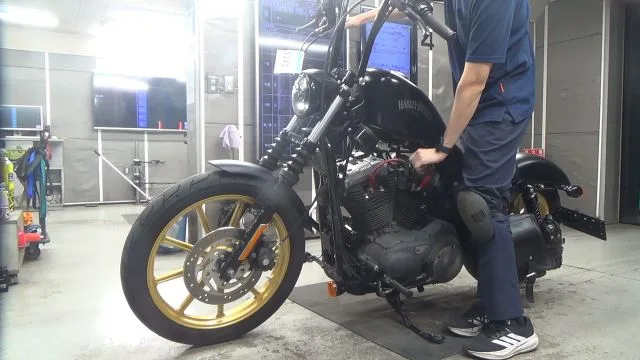 Harley-Davidson XL1200N с аукциона BDS, кадр 2