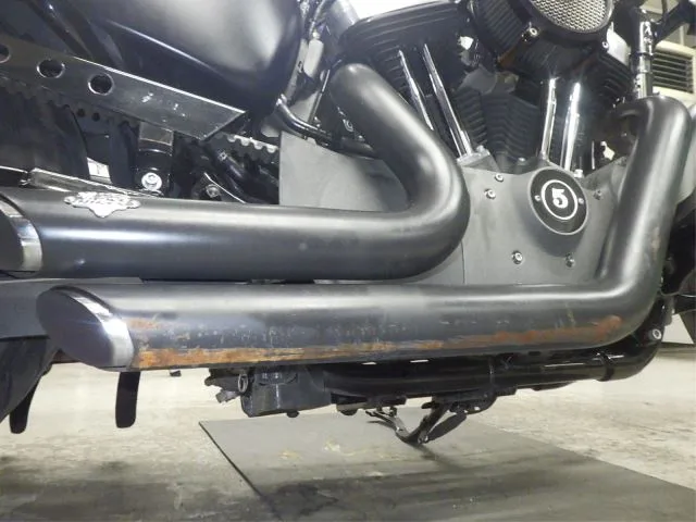 Harley-Davidson XL1200N с аукциона BDS, кадр 8