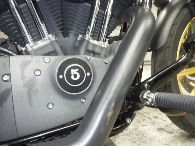 Harley-Davidson XL1200N с аукциона BDS, кадр 9