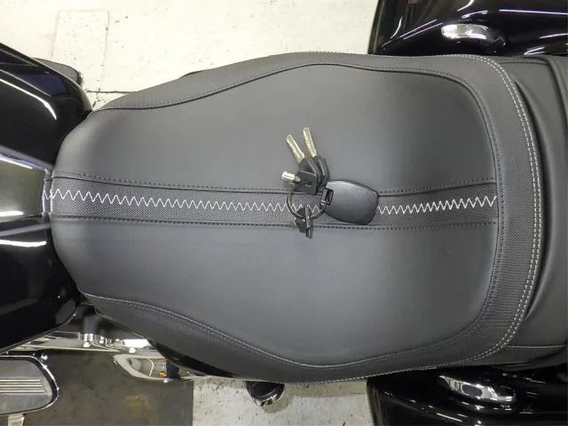 Harley-Davidson FLTRX1920 с аукциона BDS, кадр 9
