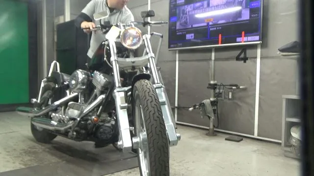 Harley-Davidson FXST1450 2003 года из Японии