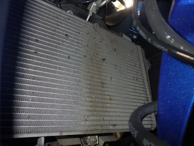 Suzuki GSX-8R с аукциона BDS, кадр 5