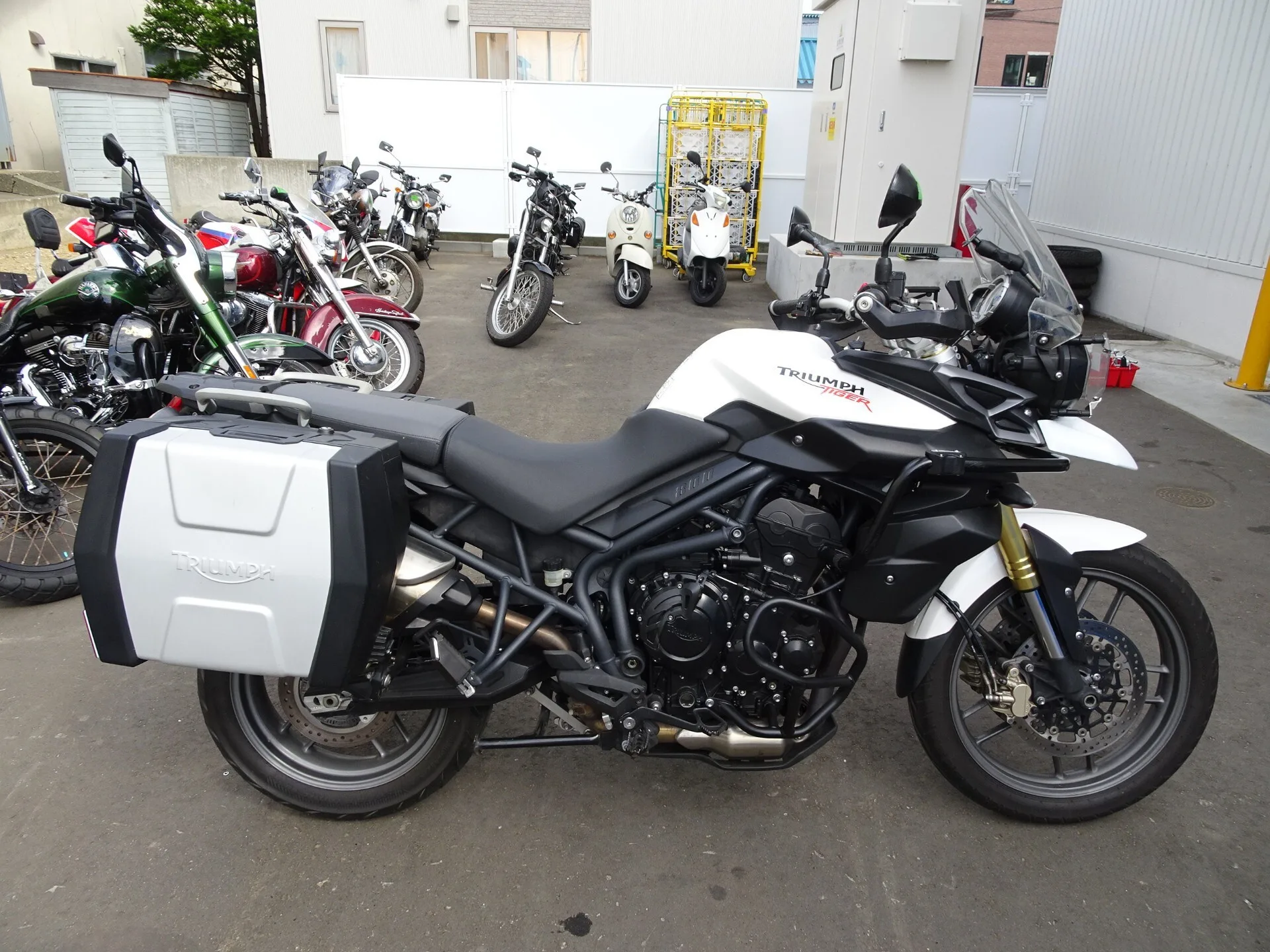 Triumph TIGER 800 2012 года из Японии