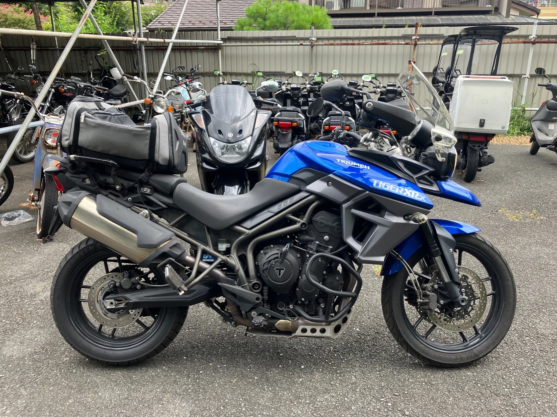 Triumph TIGER 800XRX с аукциона AUCNET, кадр 1