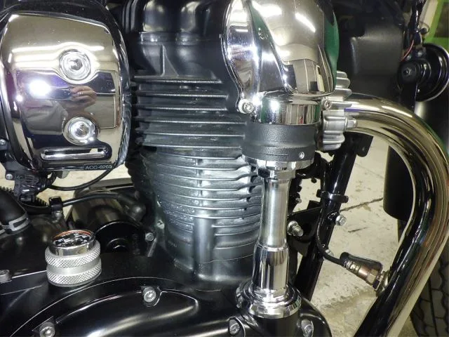Kawasaki W800-2 STREET с аукциона BDS, кадр 3