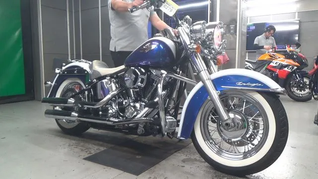 Harley-Davidson FLSTN1580 2009 года из Японии
