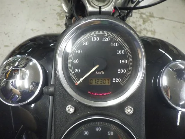 Harley-Davidson FXD1450 с аукциона BDS, кадр 7