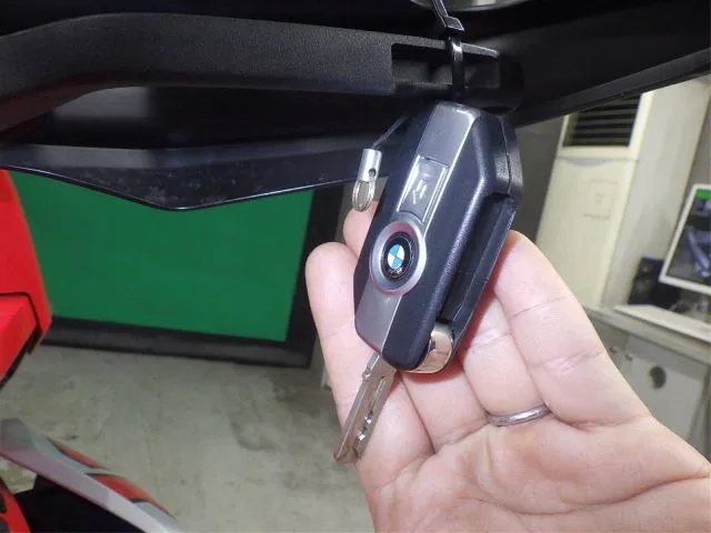 Другие марки BMWS1000XR с аукциона BDS, кадр 8