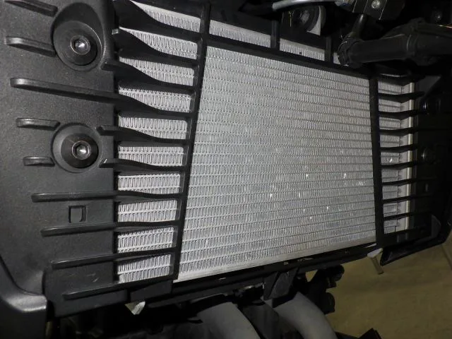 Yamaha MT-25A с аукциона BDS, кадр 3