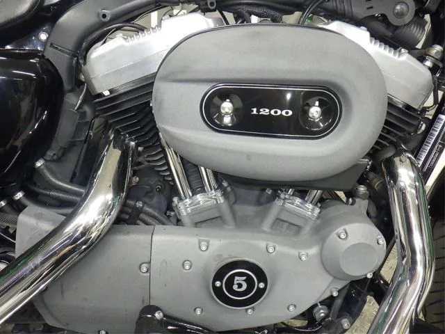 Harley-Davidson XL1200N с аукциона BDS, кадр 3