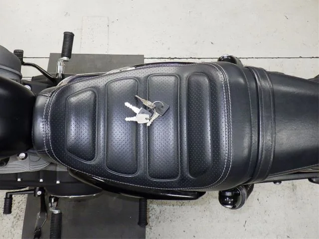 Harley-Davidson XL1200CX с аукциона BDS, кадр 10
