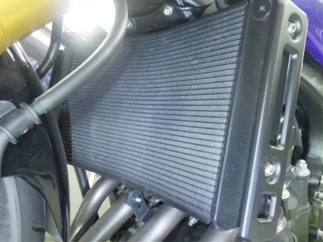 Yamaha FZ8-N с аукциона BDS, кадр 5