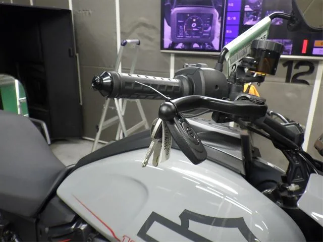 Harley-Davidson PAN AMERICA 1250ST с аукциона BDS, кадр 8