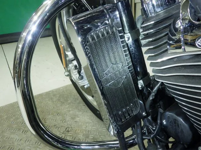 Harley-Davidson XL1200LI с аукциона BDS, кадр 6