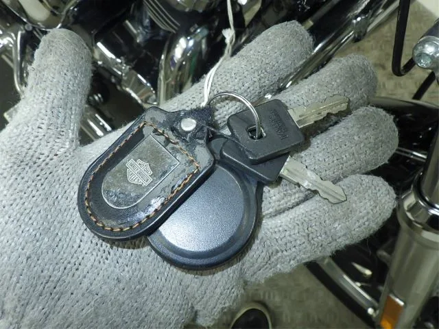 Harley-Davidson XL1200LI с аукциона BDS, кадр 8