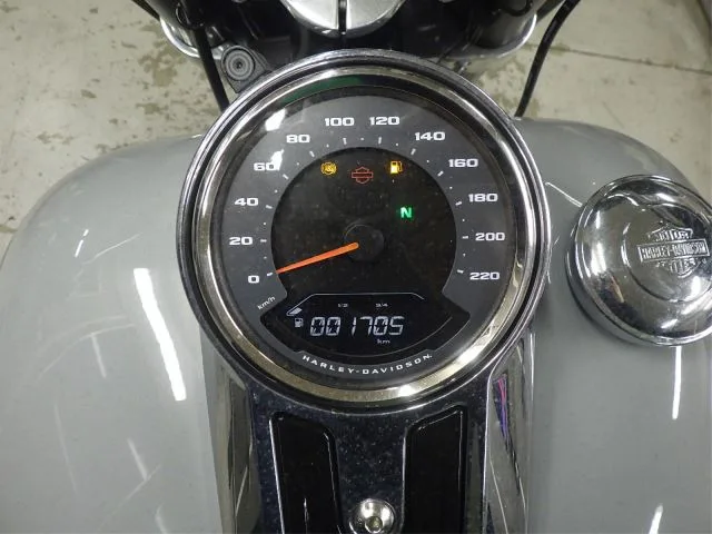 Harley-Davidson FLSB1750 с аукциона BDS, кадр 7