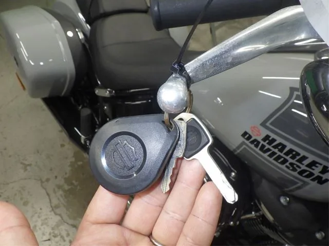 Harley-Davidson FLSB1750 с аукциона BDS, кадр 8